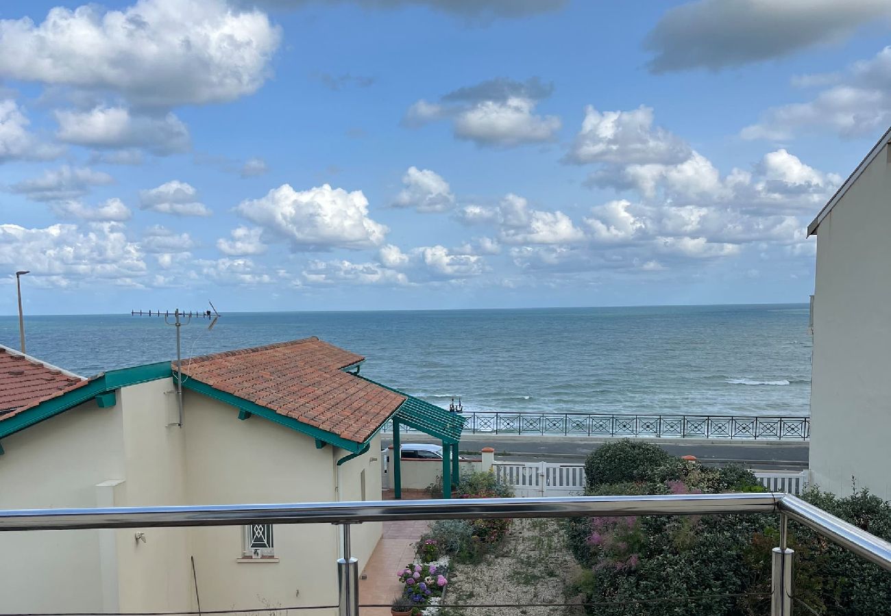 House in Biarritz - MARINE - vue mer et jardin- Côte des basques